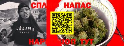 гашик Дубна