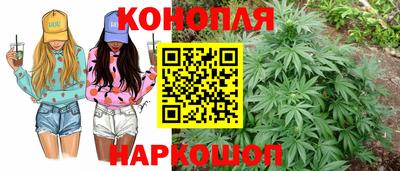МДПВ Донской