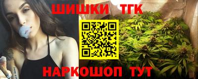 гашик Дубна