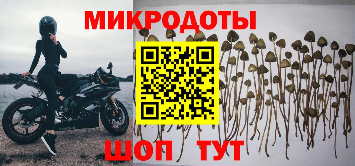 Галлюциногенные грибы мицелий Люберцы